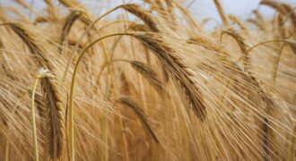 Field Gc1de38246 1280