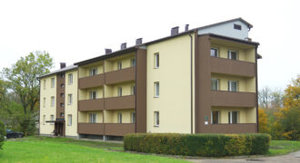 Rudbarzi6
