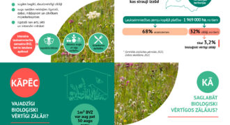 Infografika Ds Plavas