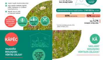 Infografika Ds Plavas