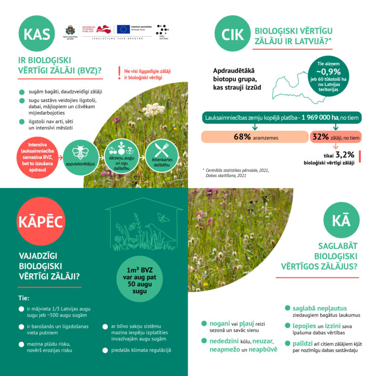 Infografika Ds Plavas