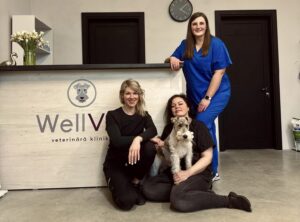 Wellvet Klinika