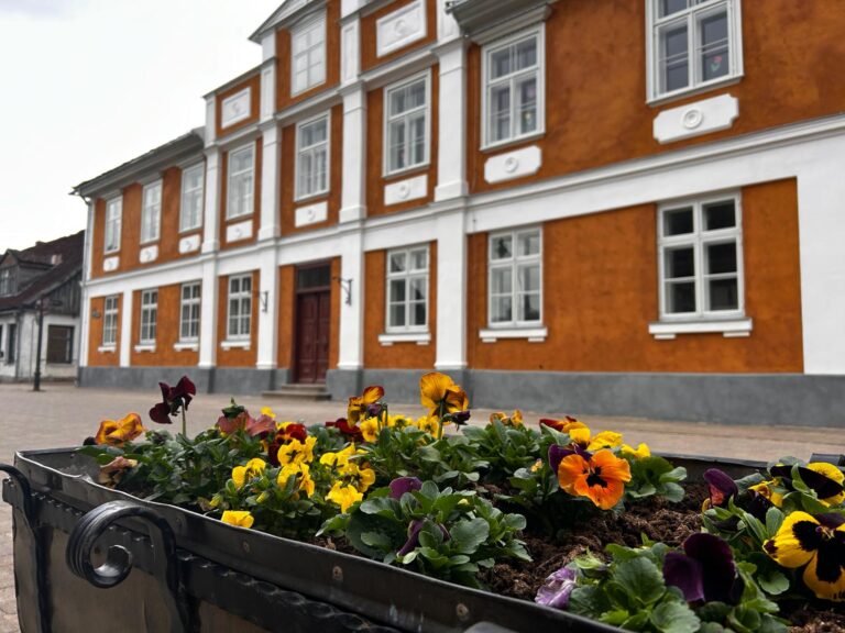 Puku Stadijumi Kuldiga 3