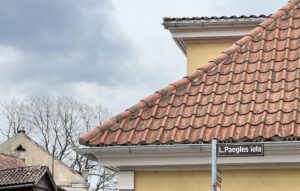 Paegles Iela