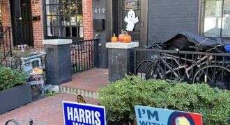 Img 4784