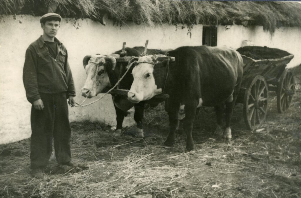 1957г .Казахстан,целинные земли