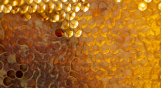Yellow Honeycomb Texture