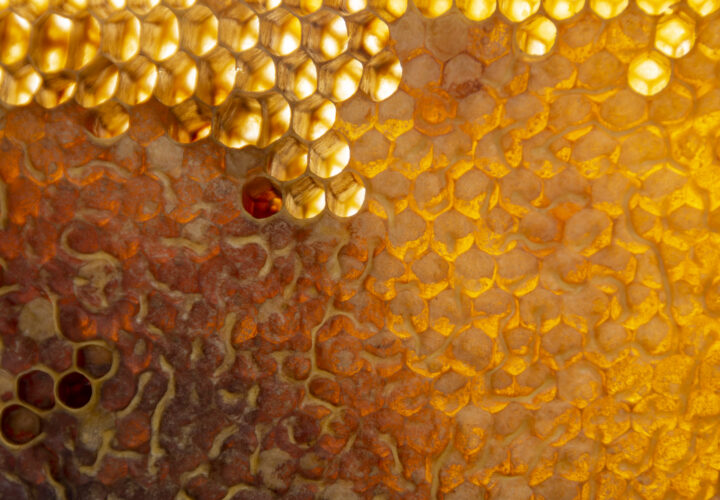 Yellow Honeycomb Texture