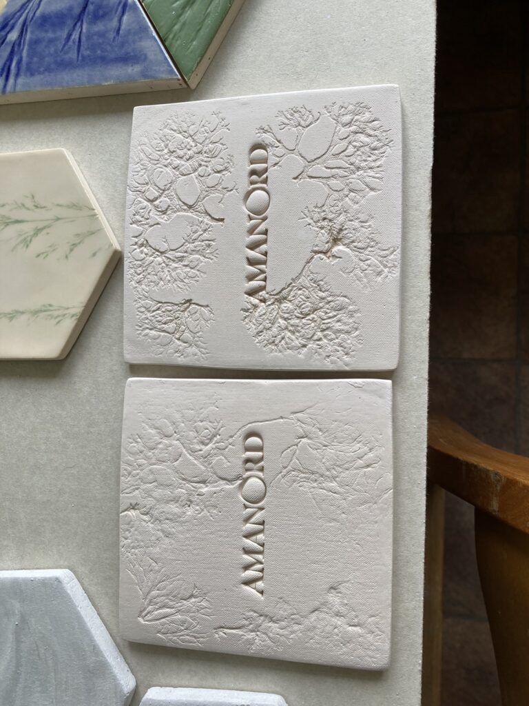 Img 3545