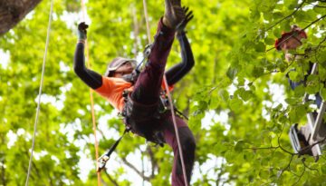 Arborists 1