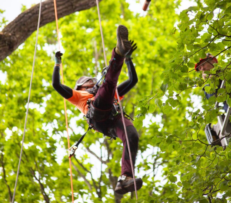 Arborists 1