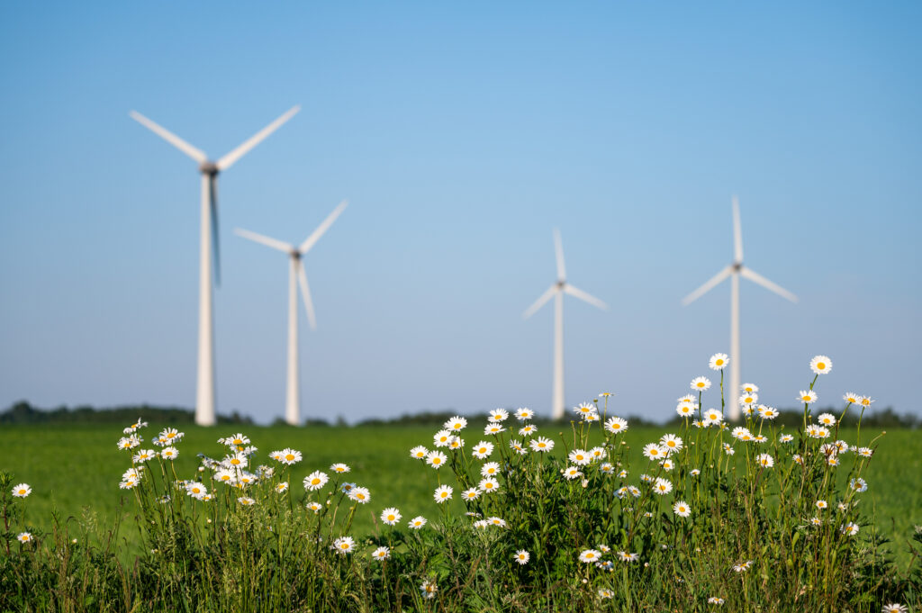 Ignitis Renewables Tauragė 122