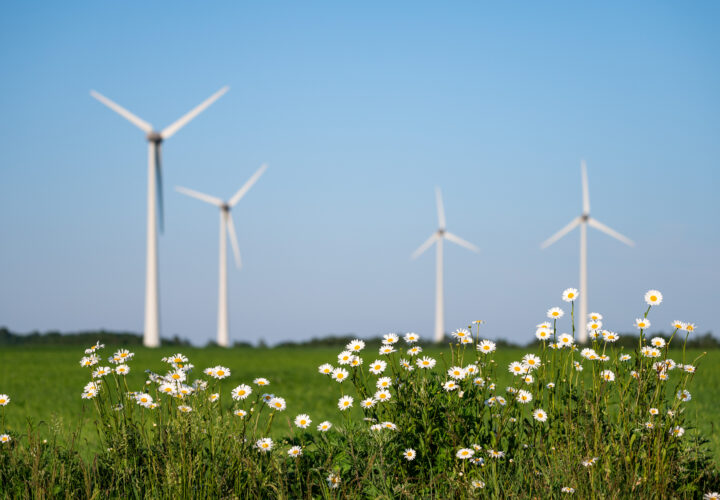 Ignitis Renewables Tauragė 122