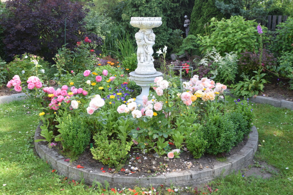 Dsc 0068