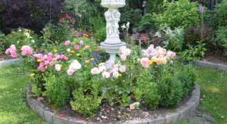 Dsc 0068