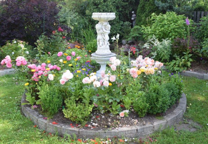 Dsc 0068