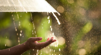 Woman Hand With Umbrella In The Rain In Green Nature Background