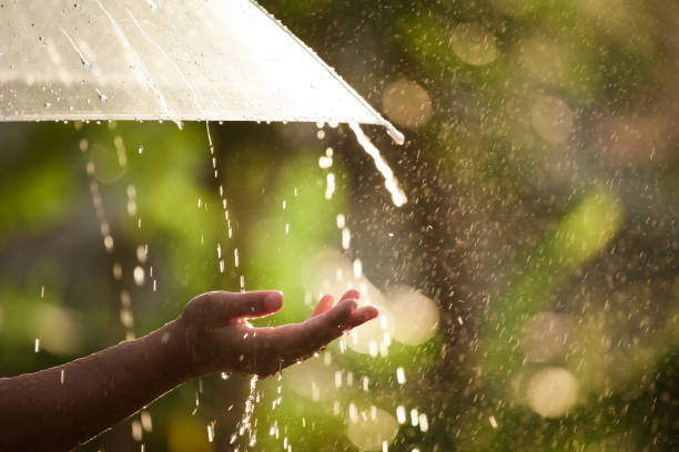 Woman Hand With Umbrella In The Rain In Green Nature Background