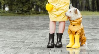 Publicitātes Foto Mentoru