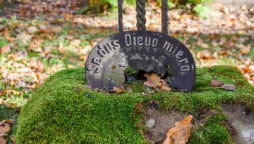 Dusi Dieva Miera Padure