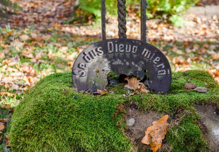 Dusi Dieva Miera Padure