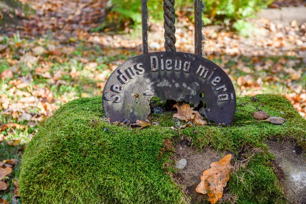 Dusi Dieva Miera Padure