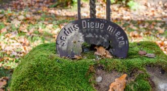 Dusi Dieva Miera Padure