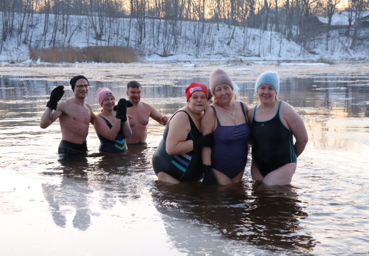 Kuldīgas roņi Ventā