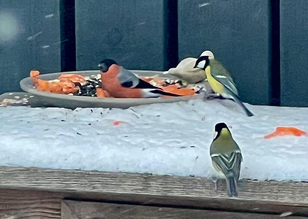 Whatsapp Image 2026 01 10 At 15.41.07