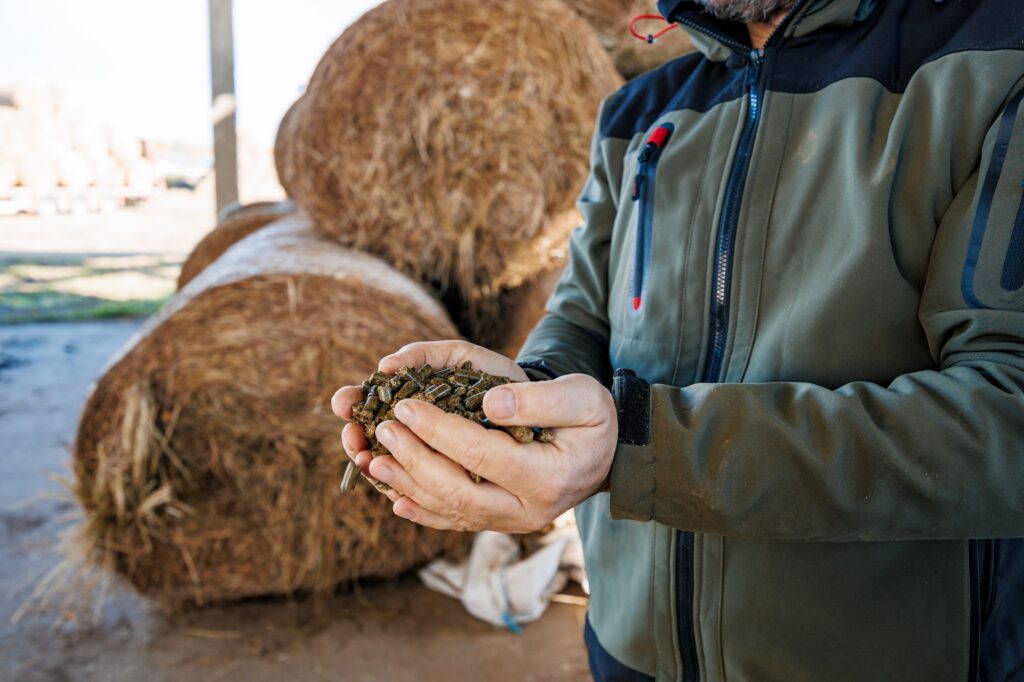 Projekts Life Upcyclinggrass Partneris Sita Nature Park No Mazvērtīga Siena Tiek Razotas Granulas
