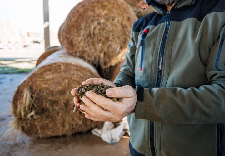 Projekts Life Upcyclinggrass Partneris Sita Nature Park No Mazvērtīga Siena Tiek Razotas Granulas