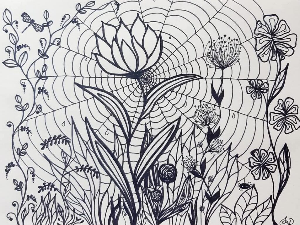 Māras Burmeisteres zīmējums