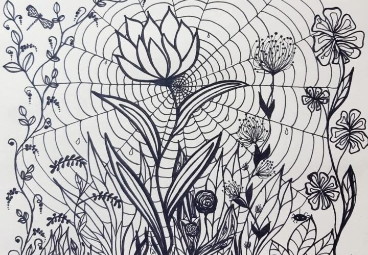 Māras Burmeisteres zīmējums