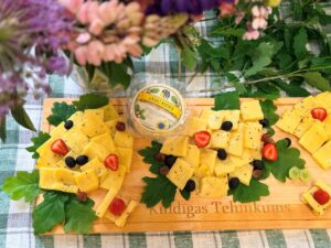 Janu Siers Tehnikums