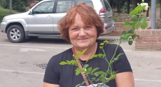 Ineta Kursiete