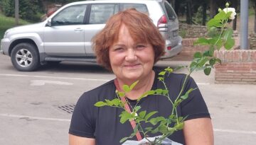 Ineta Kursiete
