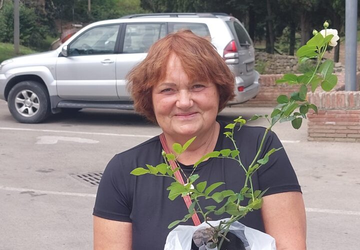 Ineta Kursiete