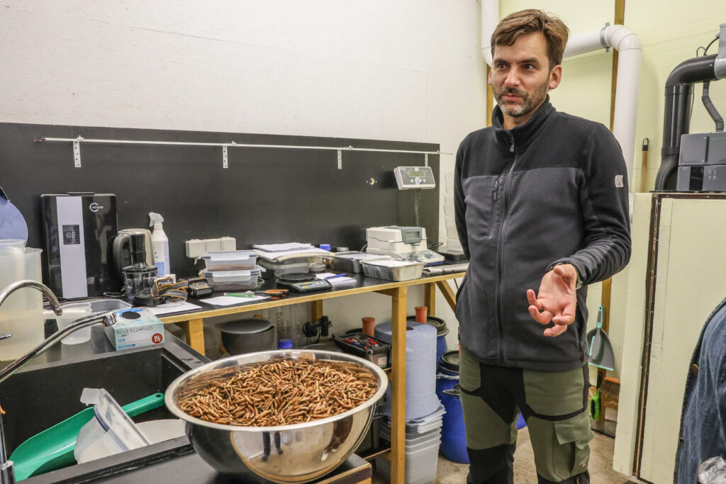 4w8a9782