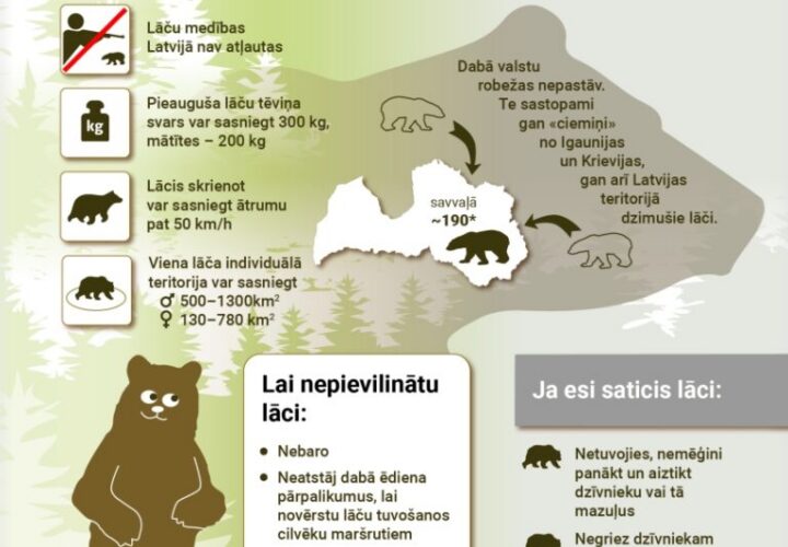 Laacis Infografika