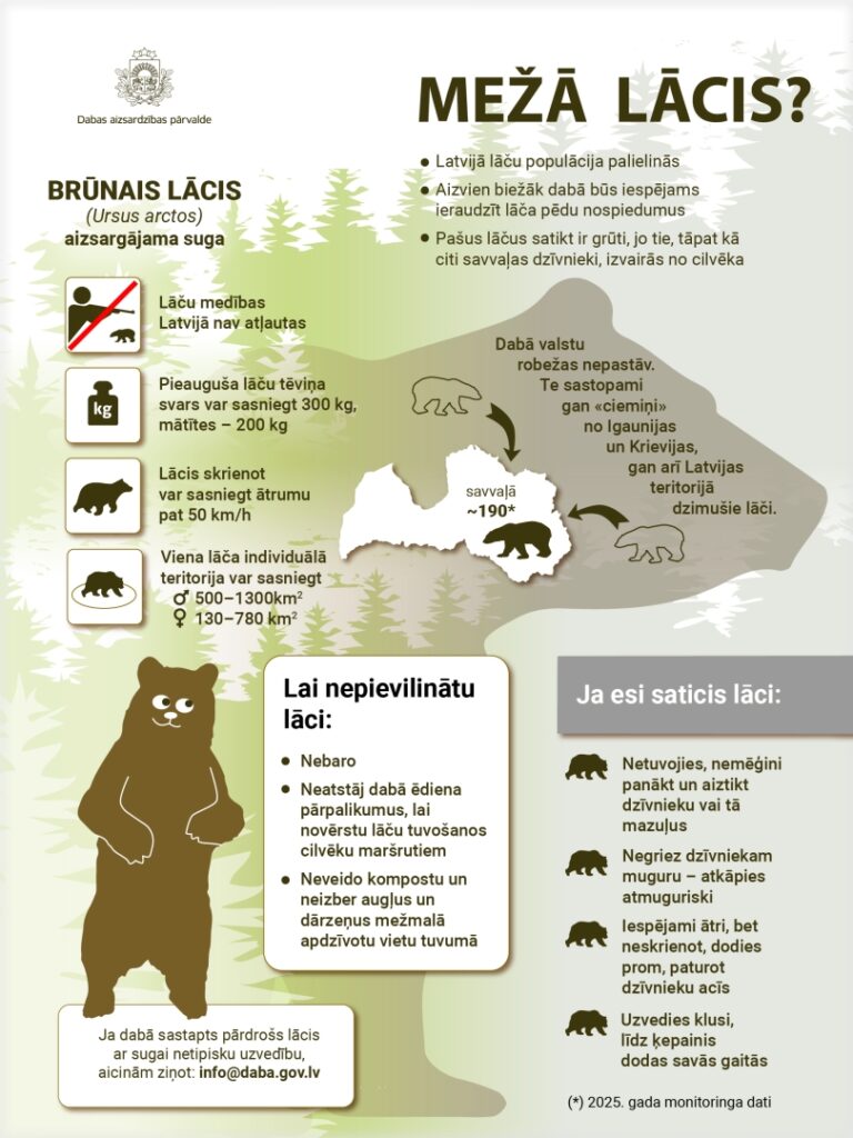 Laacis Infografika