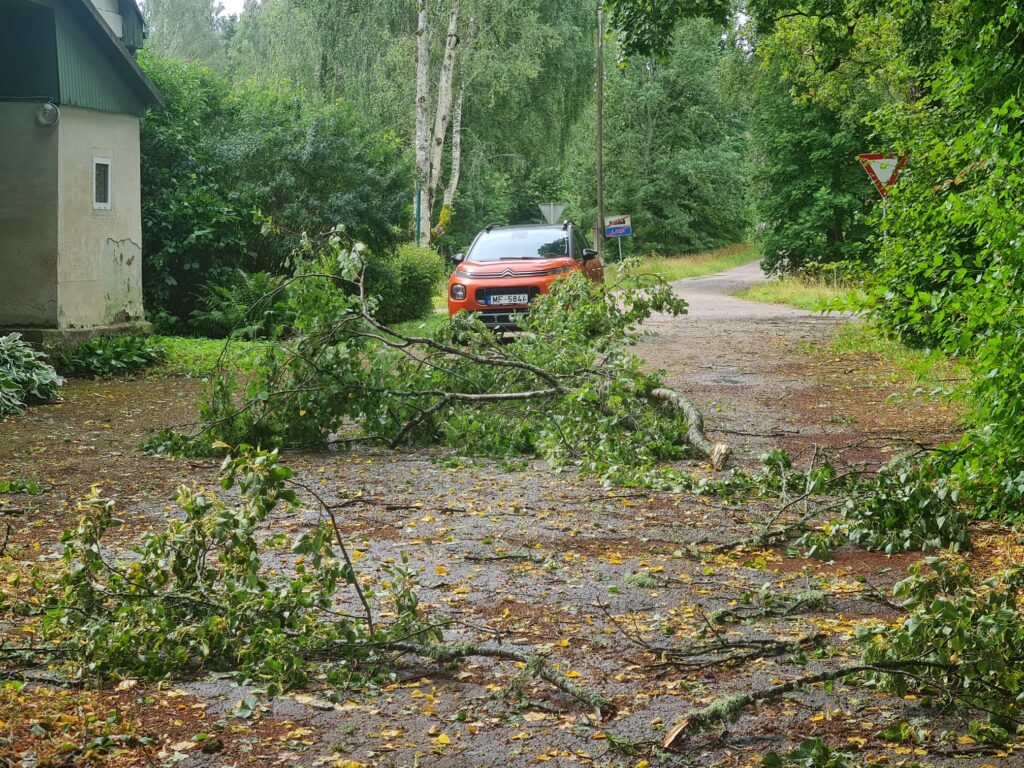 Laidi1